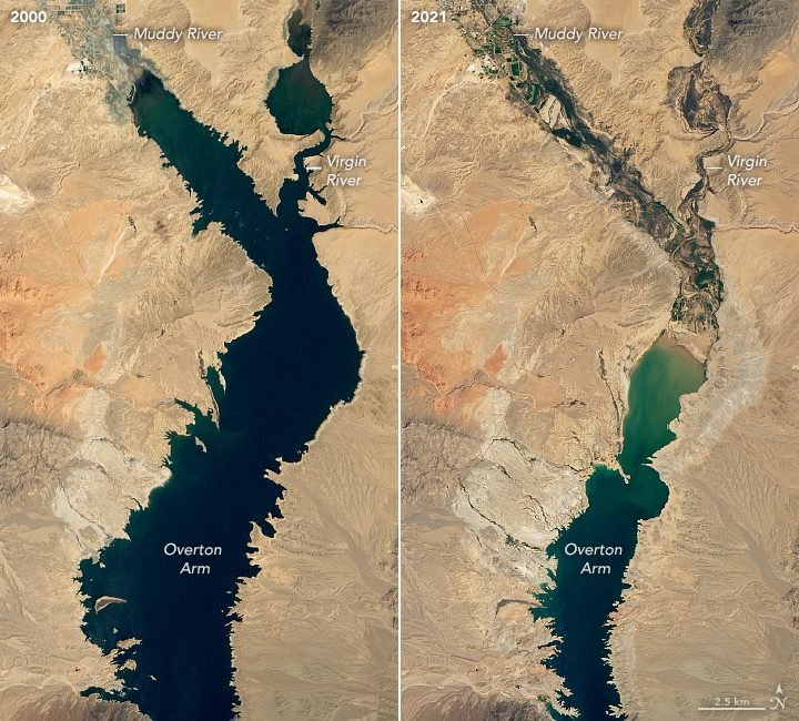 El lago Mead con el anillo blanco que marca el lecho expuesto tras años de sequía prolongada.